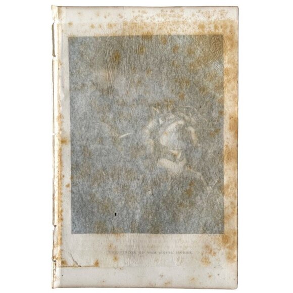 The Vision Of The White Horse Engraving 1868 Victorian Religious Art DWEE27 - Picture 3 of 3